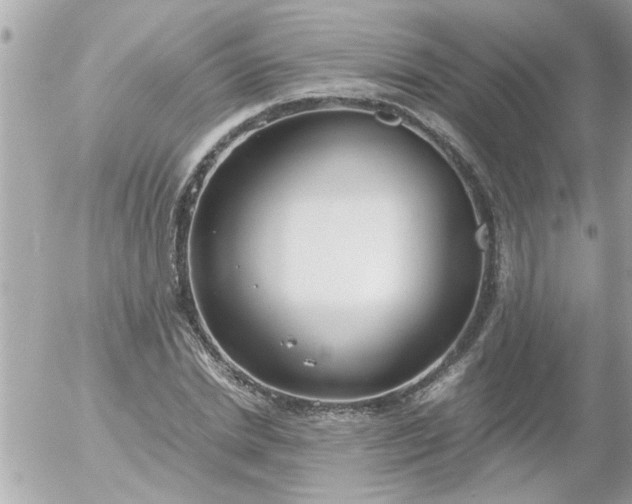 X0000055510830200508262138