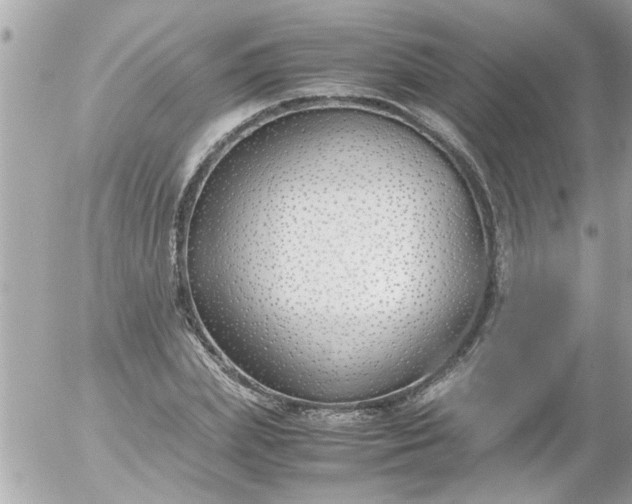 X0000055510831200508262138