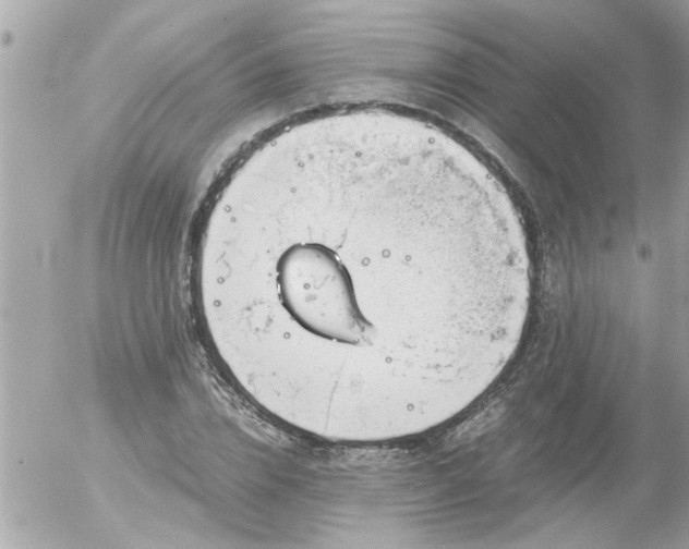 X0000055510832200508262138