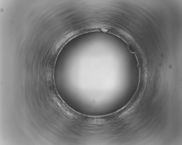 X0000055510833200508262138