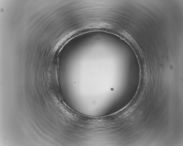 X0000055510834200508262138