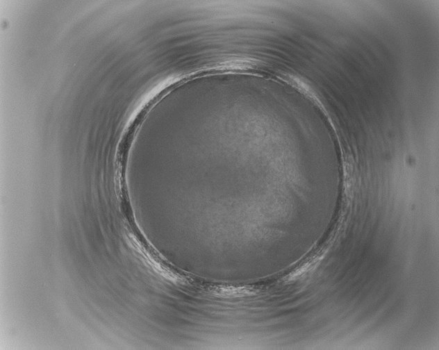 X0000055510835200508262138