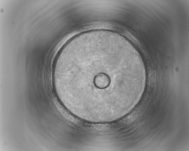 X0000055510836200508262138