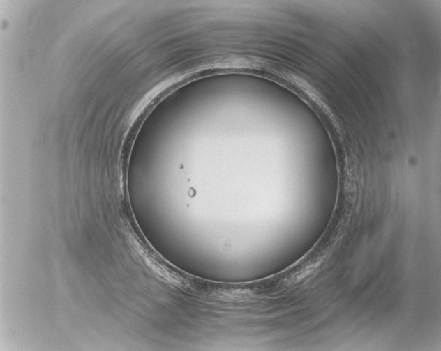 X0000055510837200508262138