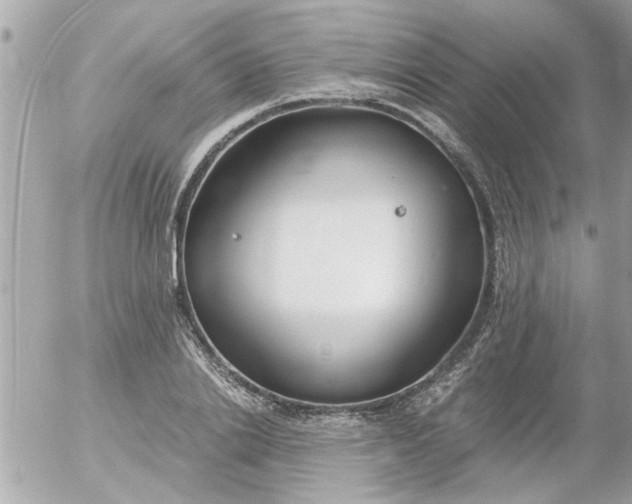 X0000055510838200508262138