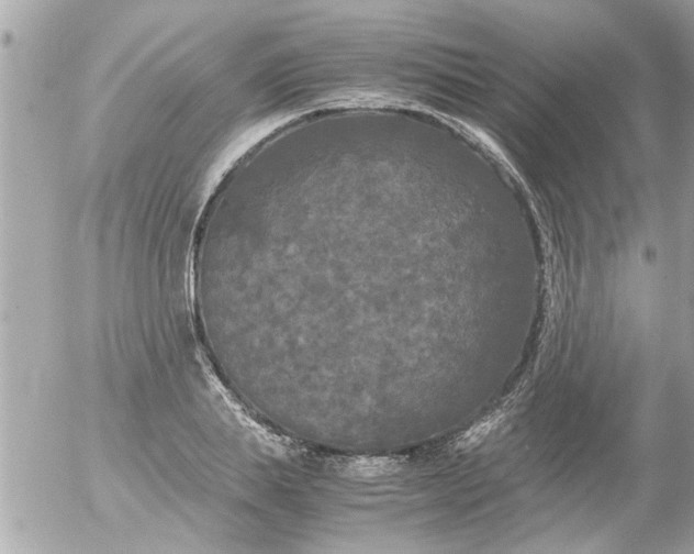 X0000055510839200508262138