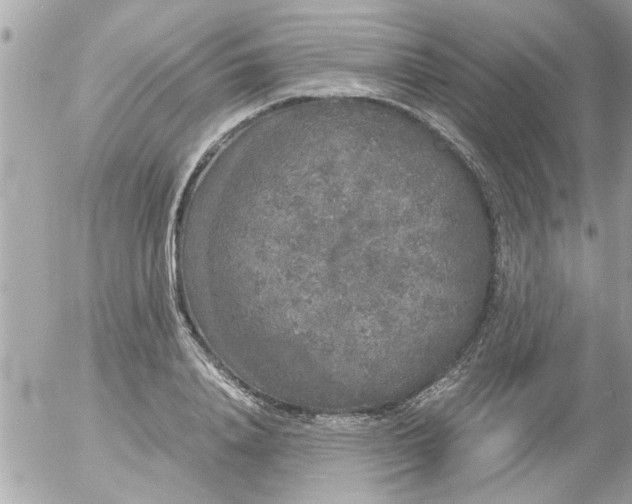 X0000055510840200508262138