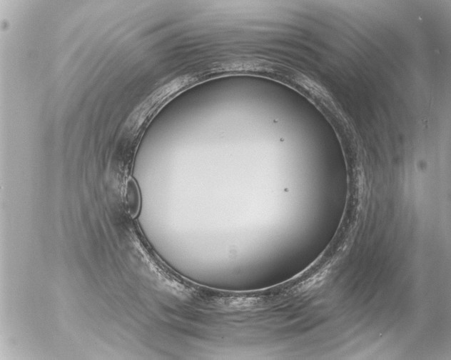 X0000055510841200508262138