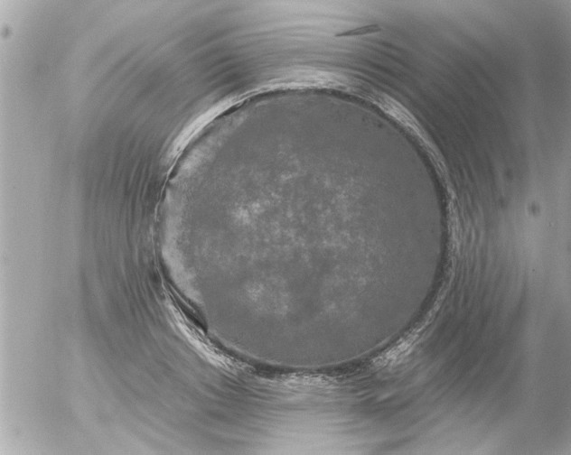 X0000055510842200508262138