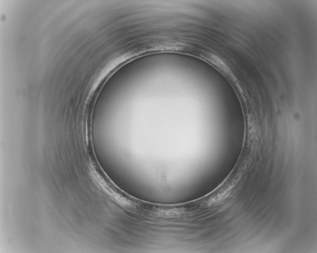 X0000055510843200508262138