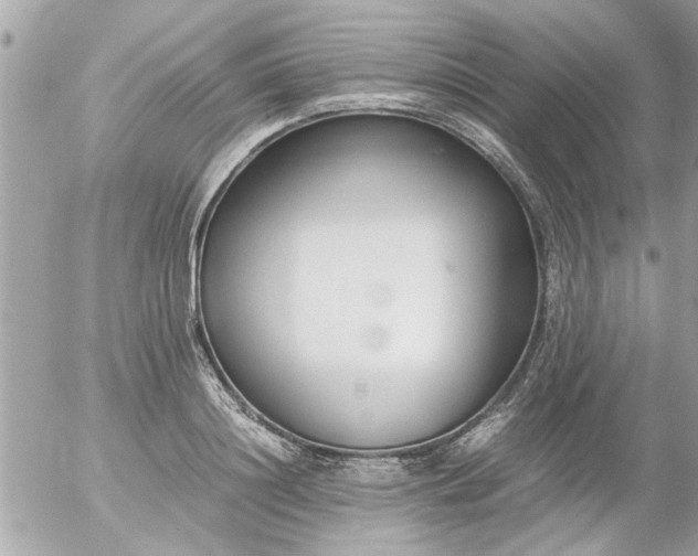 X0000055510844200508262138