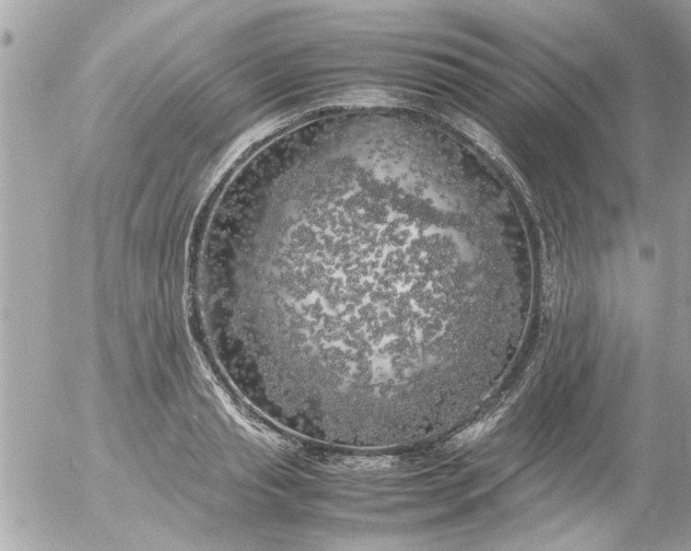 X0000055510845200508262138