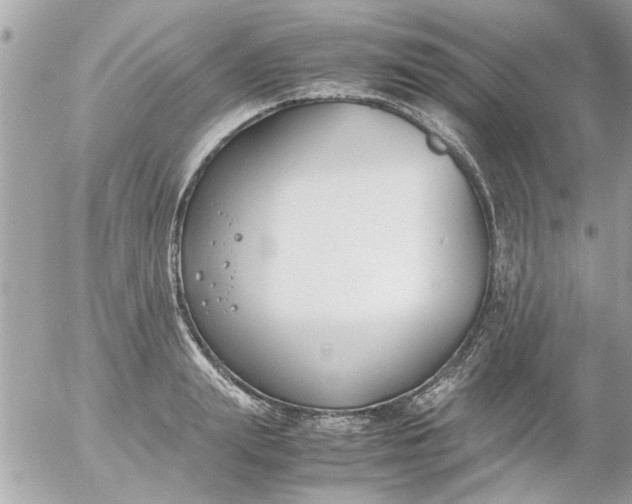 X0000055510847200508262138