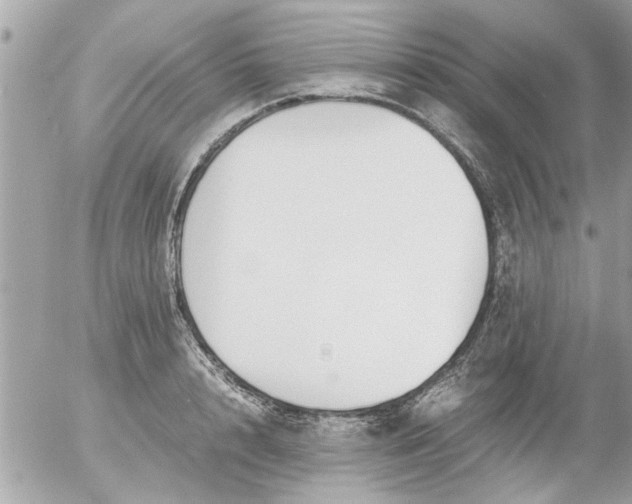 X0000055510848200508262138