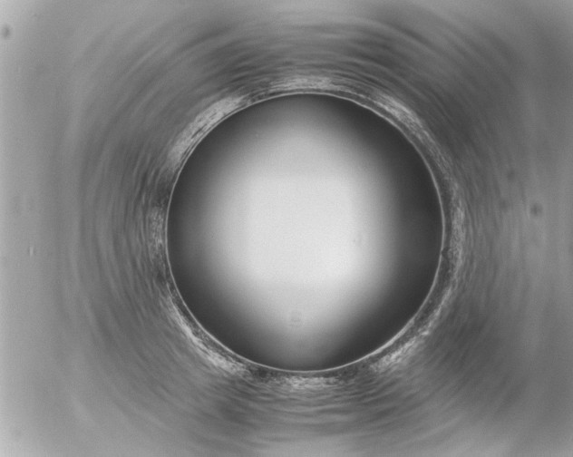 X0000055510849200508262138