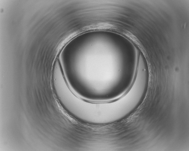 X0000055510850200508262138