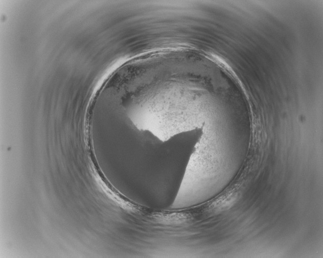 X0000055510851200508262138