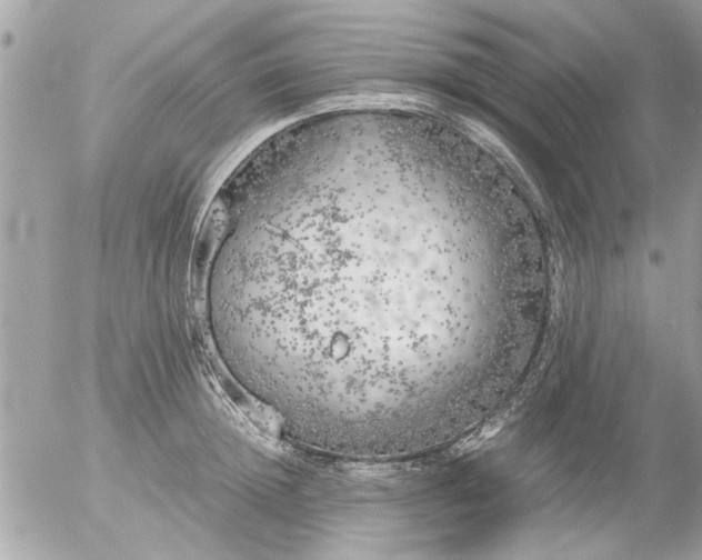 X0000055510852200508262138