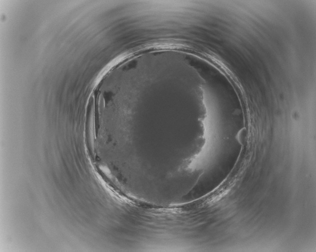 X0000055510853200508262138