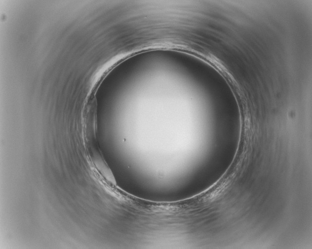 X0000055510854200508262138