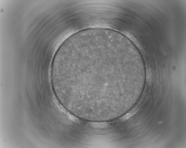 X0000055510856200508262138