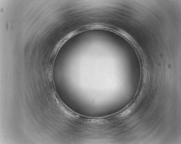 X0000055510857200508262138