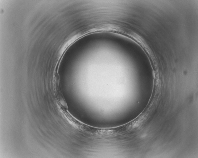 X0000055510858200508262138