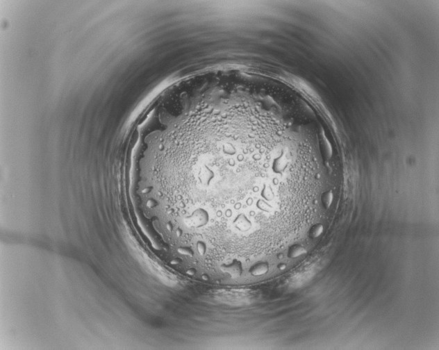 X0000055510859200508262138