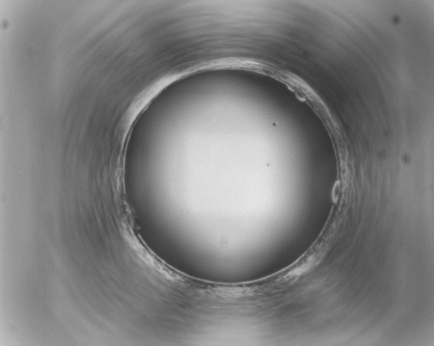 X0000055510860200508262138