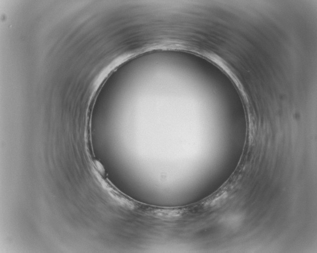 X0000055510861200508262138