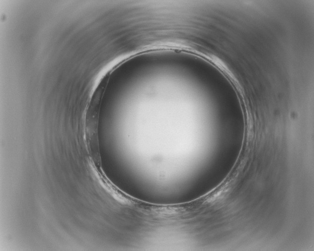 X0000055510862200508262138