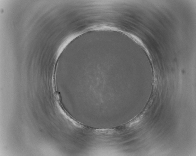 X0000055510863200508262138