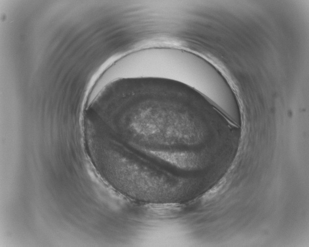 X0000055510864200508262139