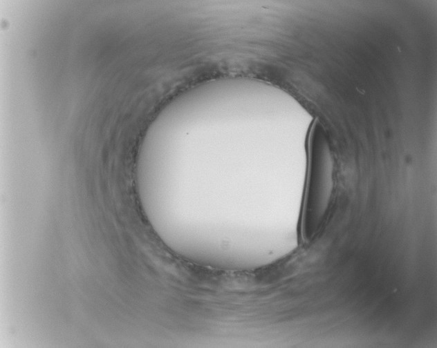 X0000055510865200508262138