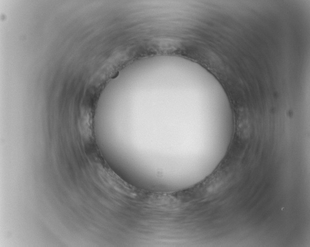 X0000055510866200508262138