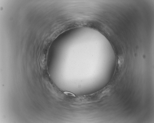 X0000055510867200508262138