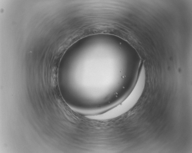 X0000055510868200508262138