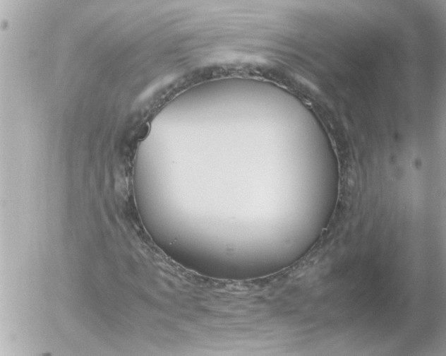 X0000055510869200508262138