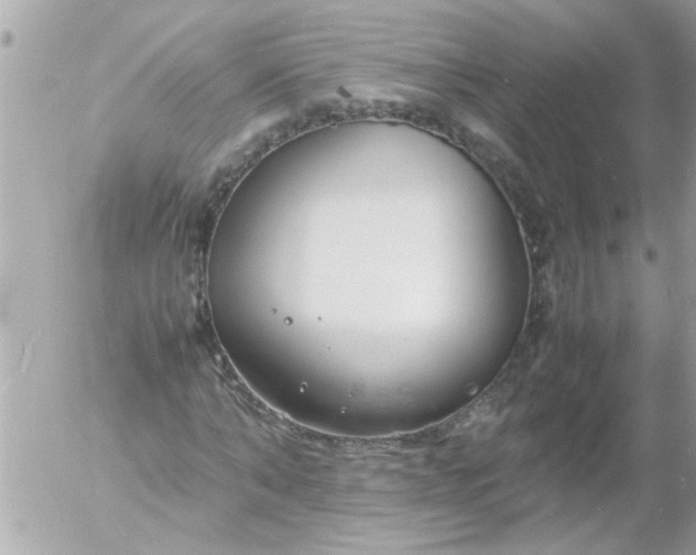 X0000055510870200508262138