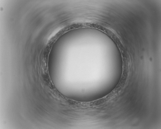 X0000055510871200508262138