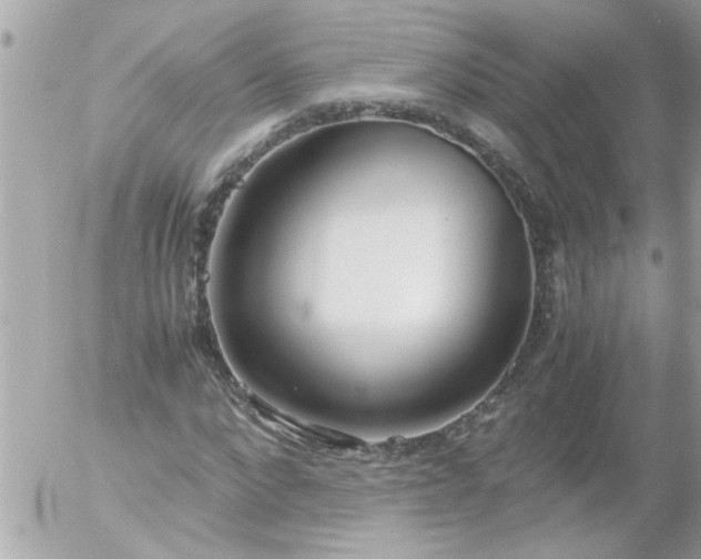 X0000055510872200508262138