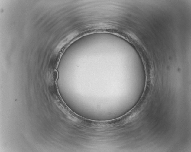 X0000055510873200508262137