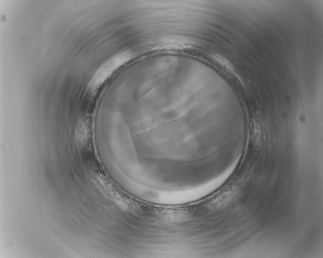 X0000055510874200508262137