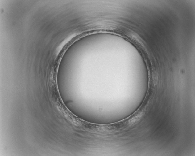 X0000055510875200508262137