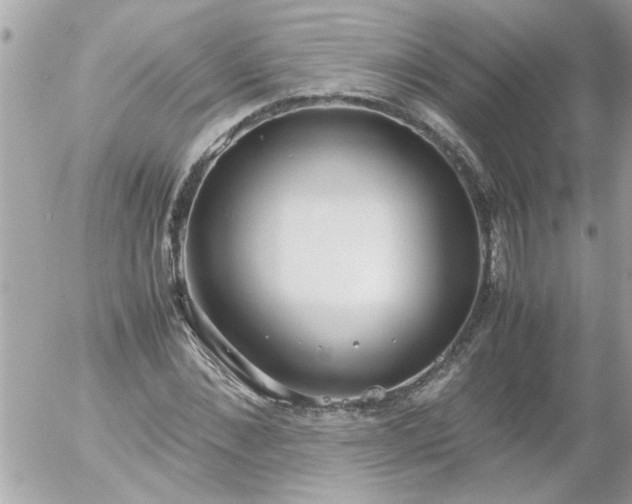 X0000055510876200508262137