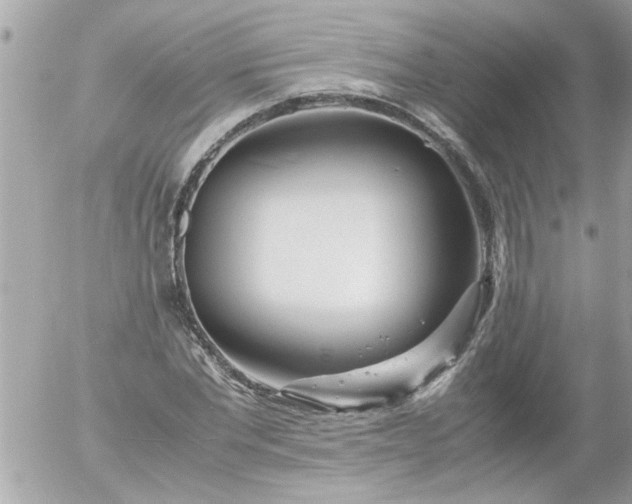 X0000055510877200508262137