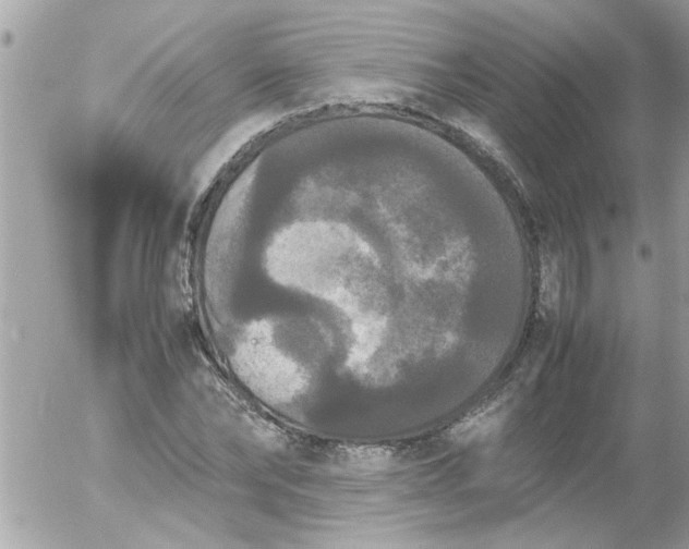 X0000055510878200508262137