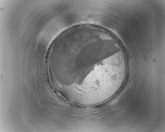 X0000055510879200508262137