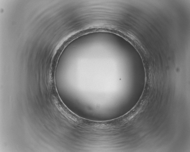 X0000055510880200508262137