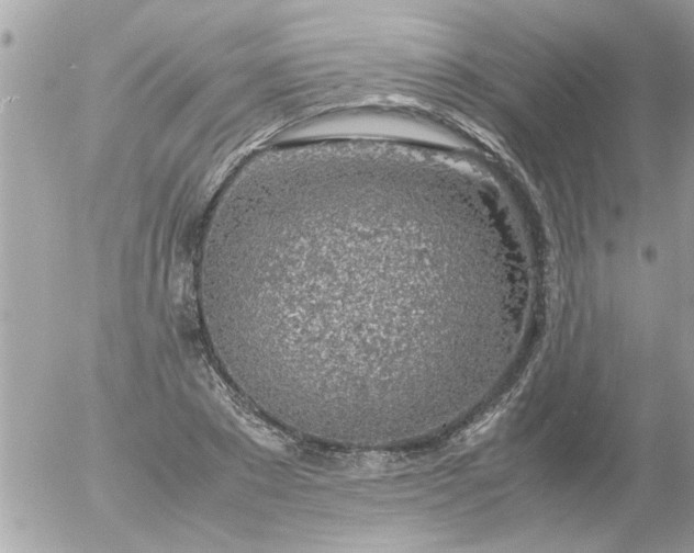 X0000055510881200508262137